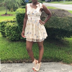 Lace Star Embroidery Mini Dress